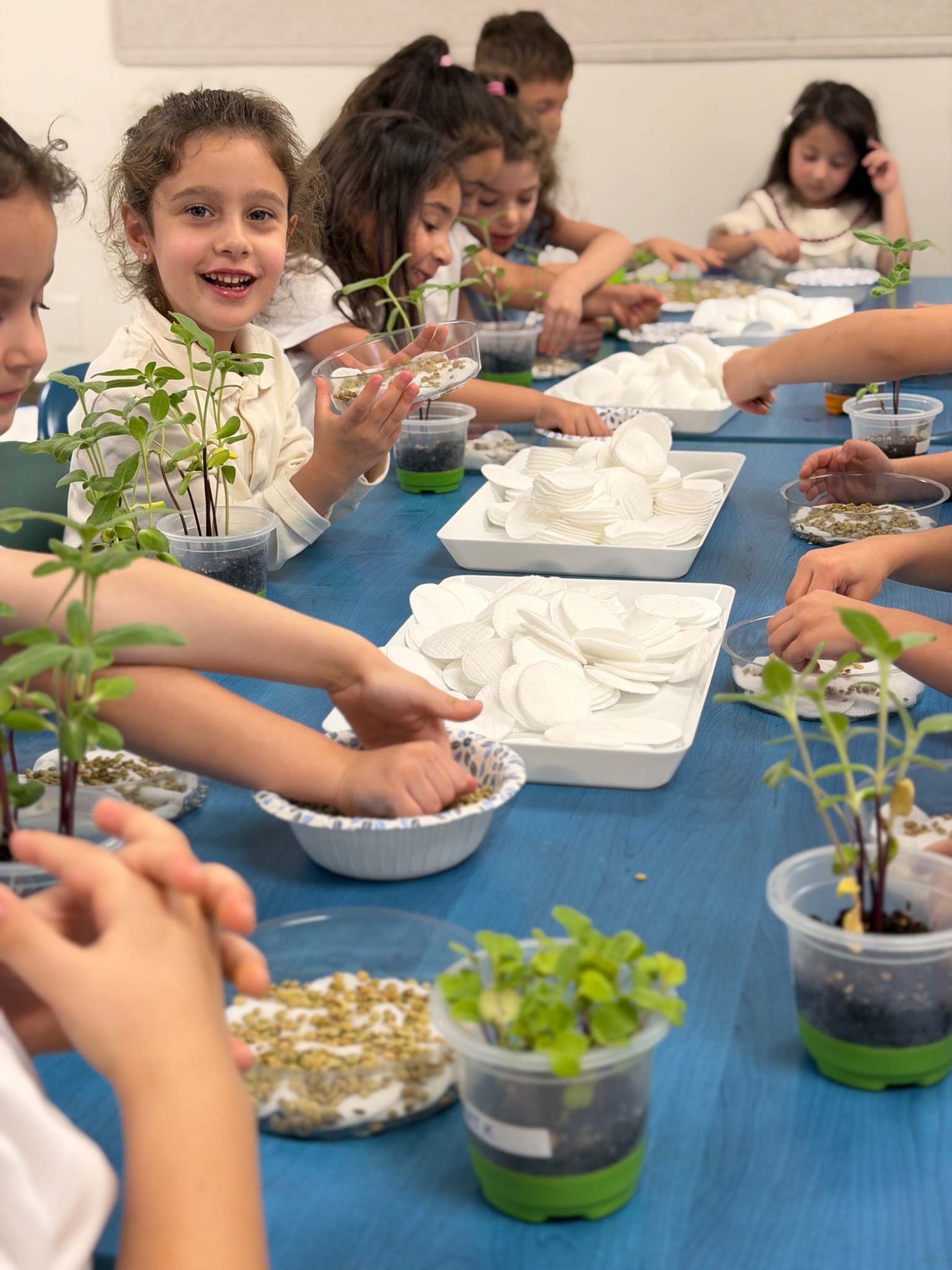 Burbank Montessori Preschool students planting seedlings together in the classroom